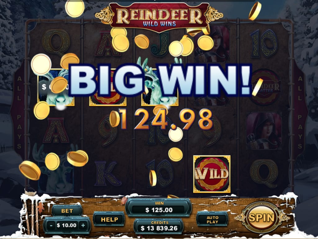 Reindeer Wild Wins XL